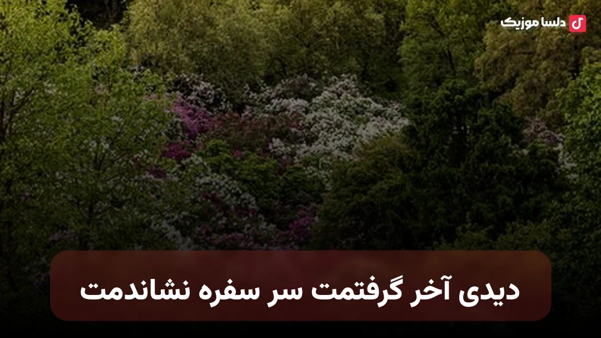 دیدی آخر گرفتمت سر سفره نشوندمت از مرتضی قاسمی